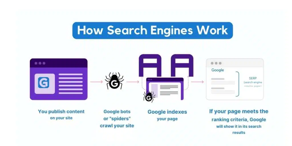 website ranking api